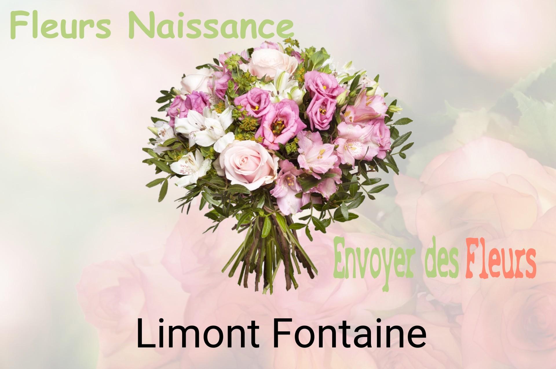 Bouquet de fleurs de naissance livré à Limont-Fontaine